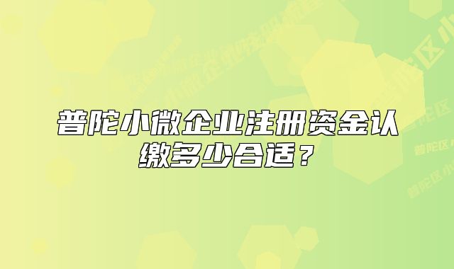 普陀小微企业注册资金认缴多少合适？