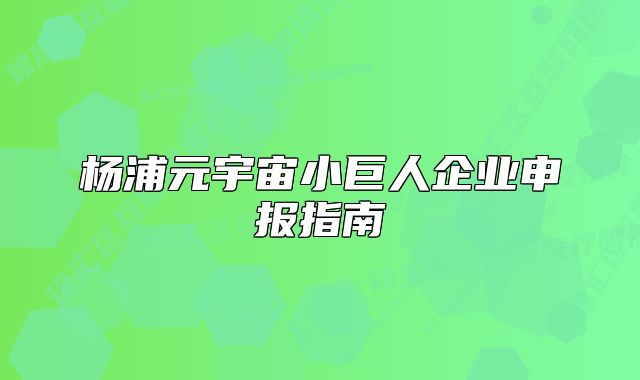 杨浦元宇宙小巨人企业申报指南