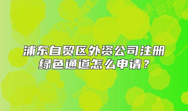 浦东自贸区外资公司注册绿色通道怎么申请？