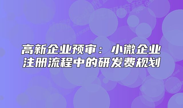 高新企业预审：小微企业注册流程中的研发费规划