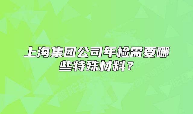 上海集团公司年检需要哪些特殊材料？
