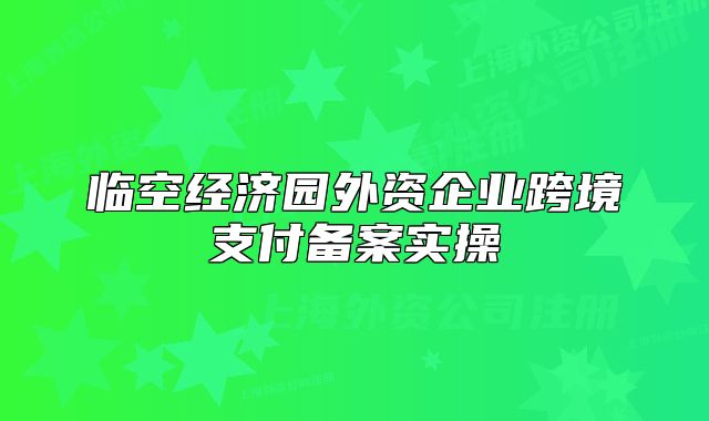 临空经济园外资企业跨境支付备案实操