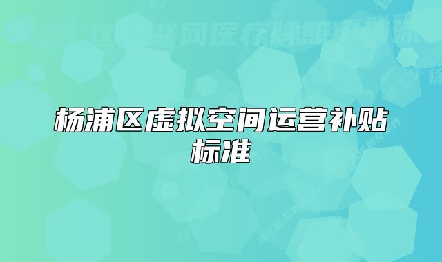 杨浦区虚拟空间运营补贴标准
