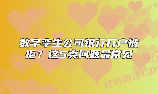 数字孪生公司银行开户被拒？这5类问题最常见