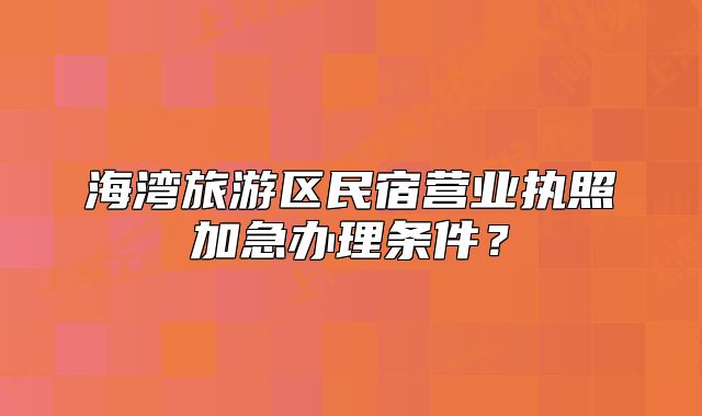 海湾旅游区民宿营业执照加急办理条件？