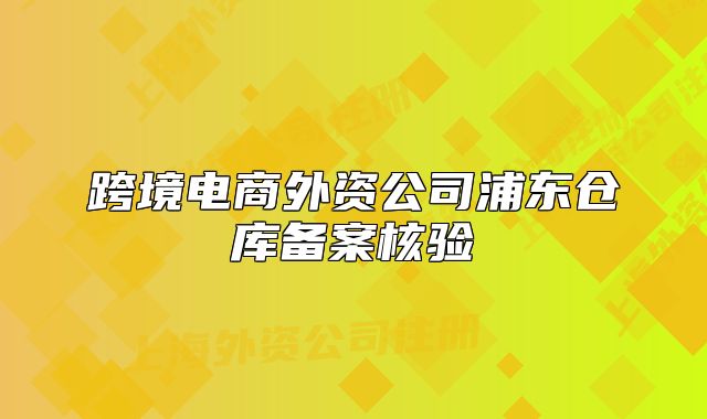 跨境电商外资公司浦东仓库备案核验