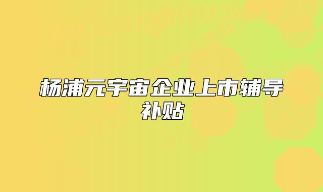 杨浦元宇宙企业上市辅导补贴