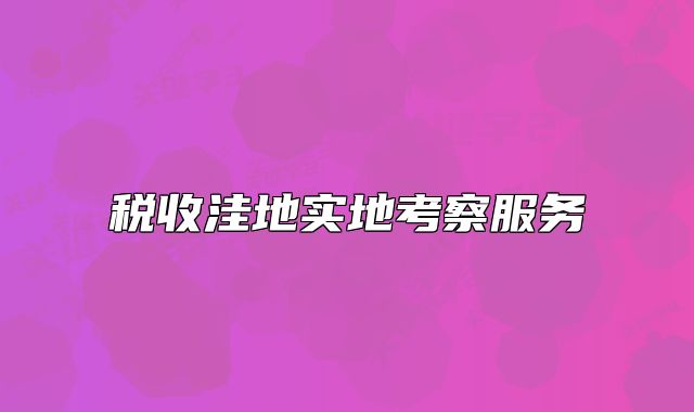 税收洼地实地考察服务