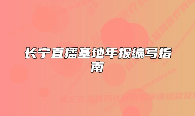 长宁直播基地年报编写指南