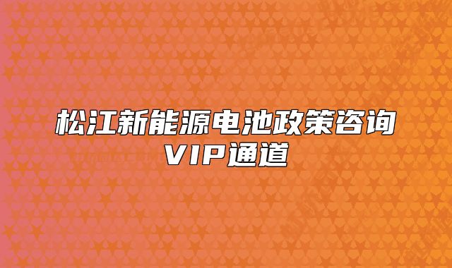 松江新能源电池政策咨询VIP通道