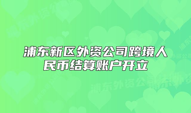 浦东新区外资公司跨境人民币结算账户开立