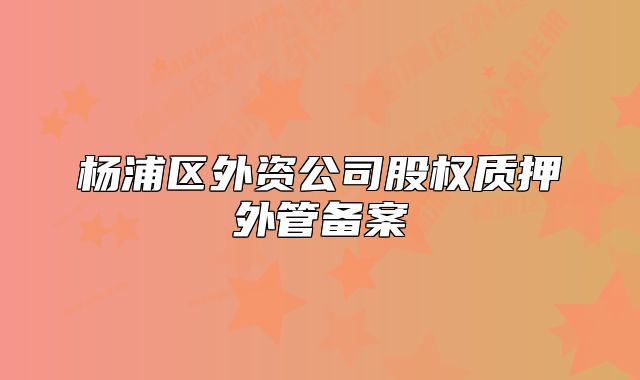 杨浦区外资公司股权质押外管备案