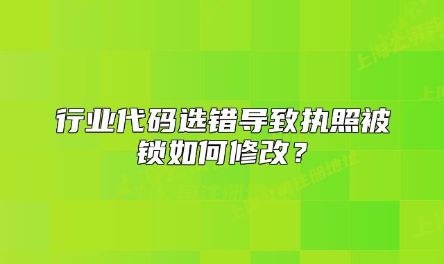 行业代码选错导致执照被锁如何修改?