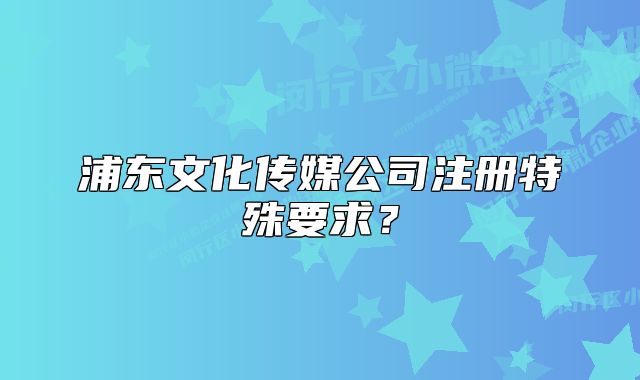 浦东文化传媒公司注册特殊要求?