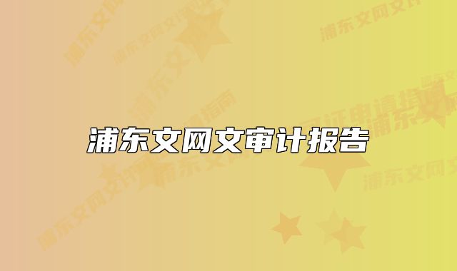浦东文网文审计报告