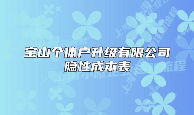 宝山个体户升级有限公司隐性成本表
