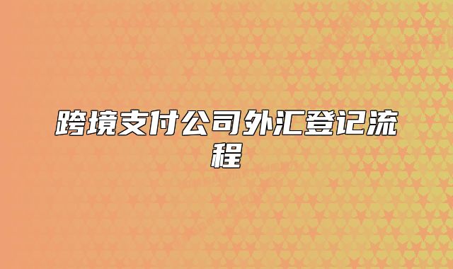 跨境支付公司外汇登记流程
