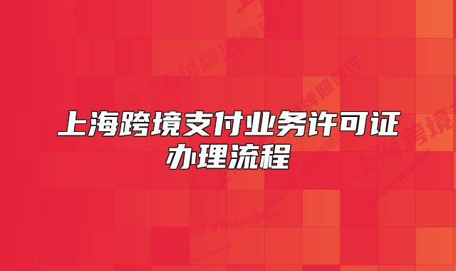 上海跨境支付业务许可证办理流程