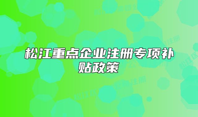 松江重点企业注册专项补贴政策