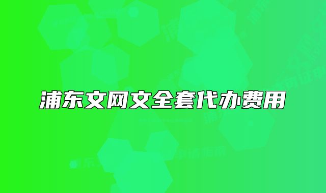 浦东文网文全套代办费用