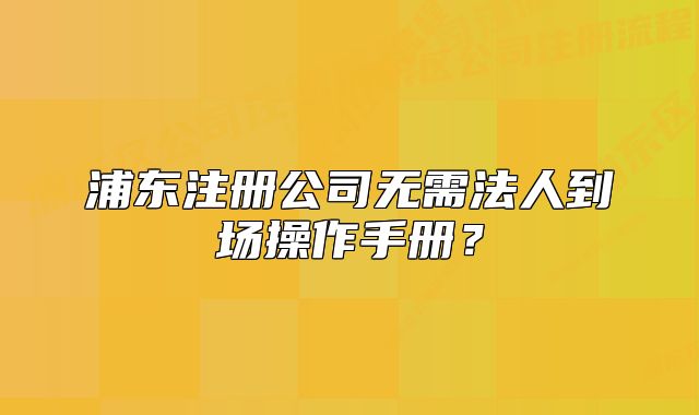 浦东注册公司无需法人到场操作手册？