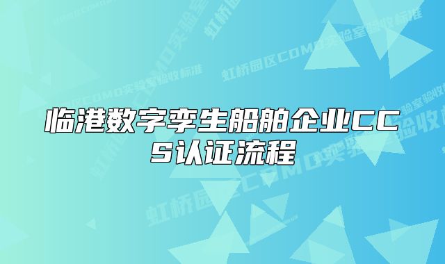 临港数字孪生船舶企业CCS认证流程