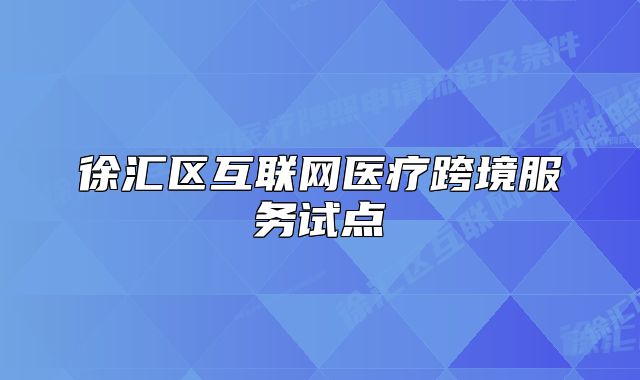 徐汇区互联网医疗跨境服务试点