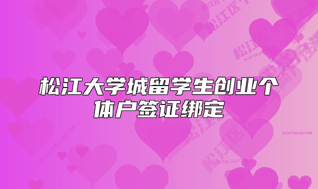 松江大学城留学生创业个体户签证绑定