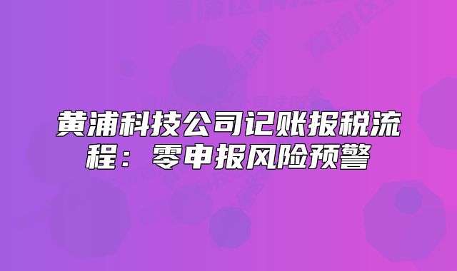 黄浦科技公司记账报税流程:零申报风险预警