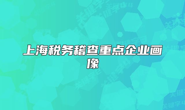 上海税务稽查重点企业画像