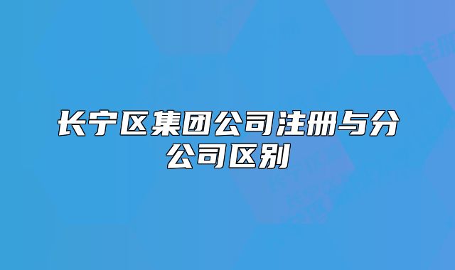 长宁区集团公司注册与分公司区别