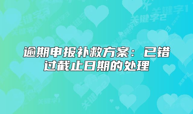逾期申报补救方案：已错过截止日期的处理