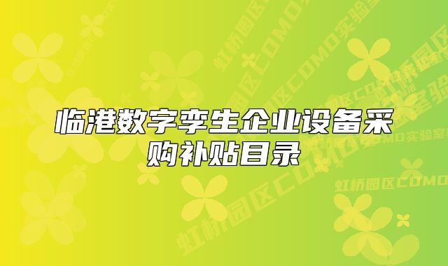 临港数字孪生企业设备采购补贴目录