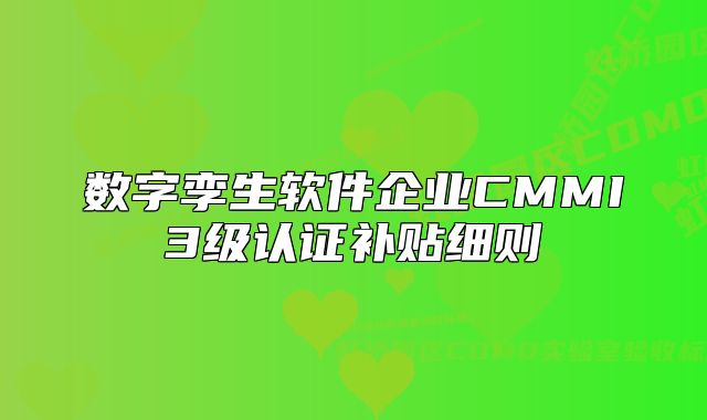数字孪生软件企业CMMI3级认证补贴细则