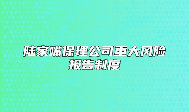 陆家嘴保理公司重大风险报告制度