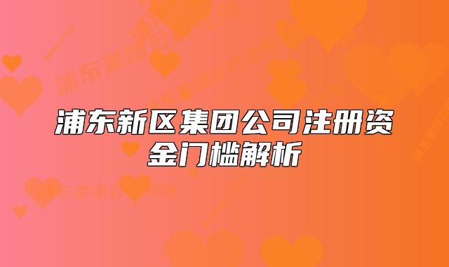 浦东新区集团公司注册资金门槛解析