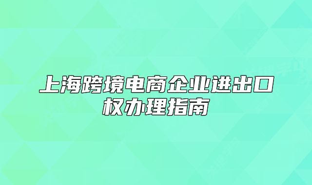 上海跨境电商企业进出口权办理指南