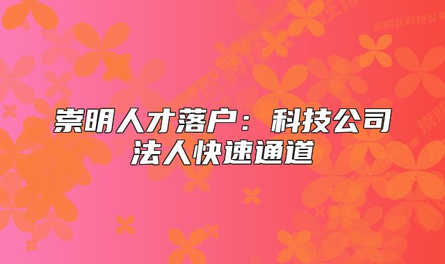崇明人才落户：科技公司法人快速通道