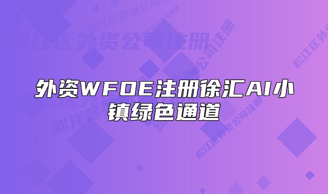 外资WFOE注册徐汇AI小镇绿色通道