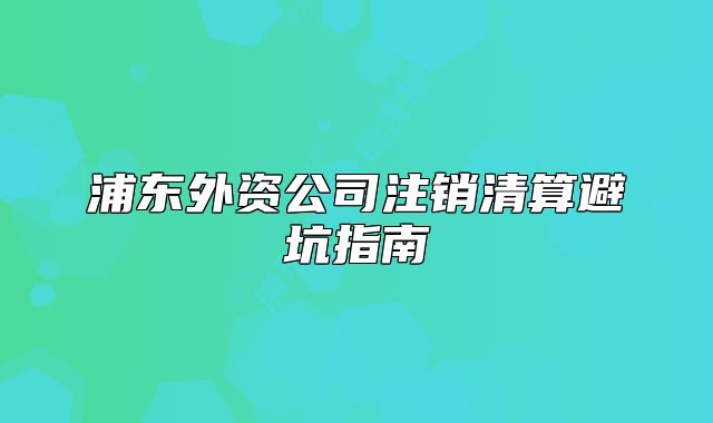 浦东外资公司注销清算避坑指南