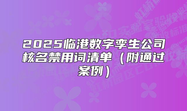 2025临港数字孪生公司核名禁用词清单(附通过案例)