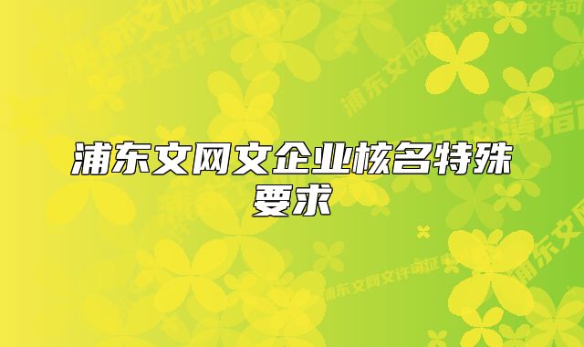 浦东文网文企业核名特殊要求