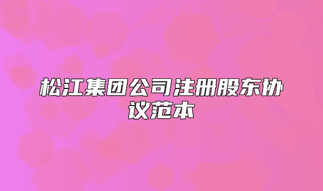 松江集团公司注册股东协议范本