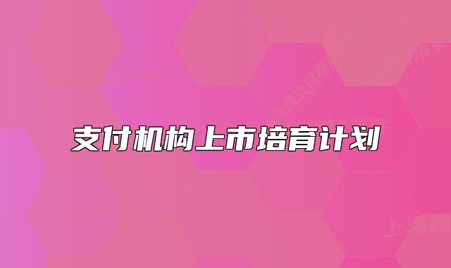 支付机构上市培育计划
