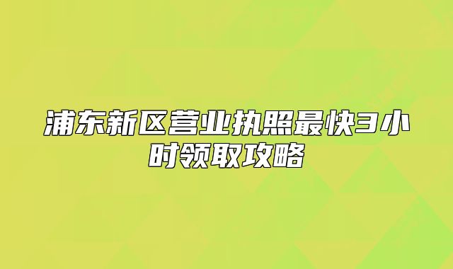 浦东新区营业执照最快3小时领取攻略