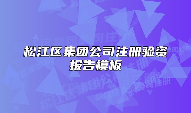 松江区集团公司注册验资报告模板
