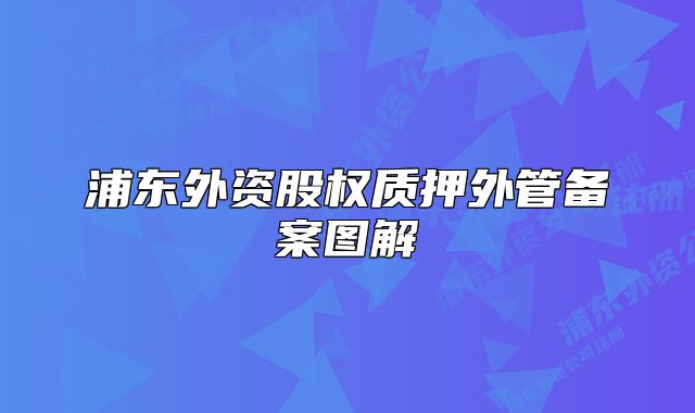 浦东外资股权质押外管备案图解