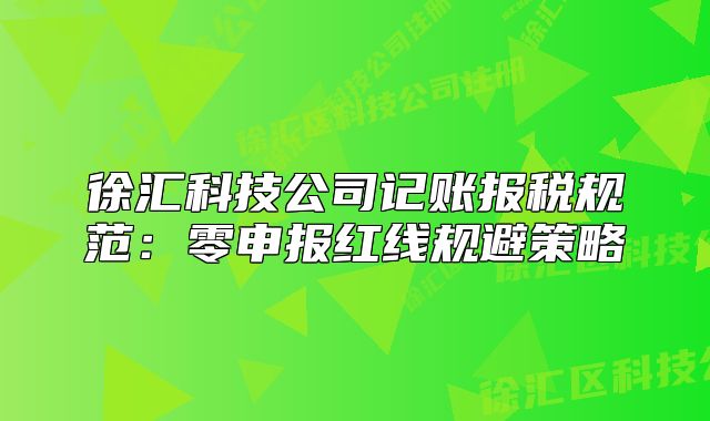 徐汇科技公司记账报税规范：零申报红线规避策略