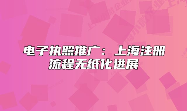 电子执照推广：上海注册流程无纸化进展