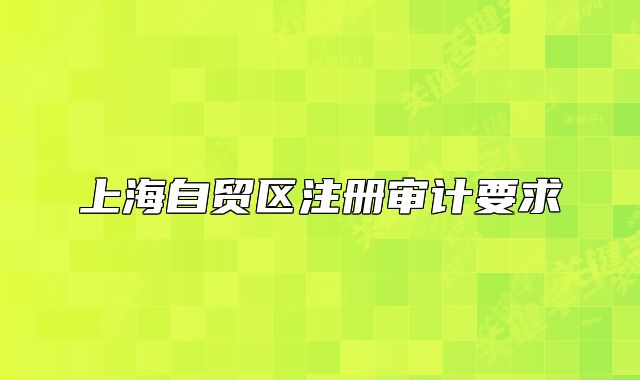 上海自贸区注册审计要求